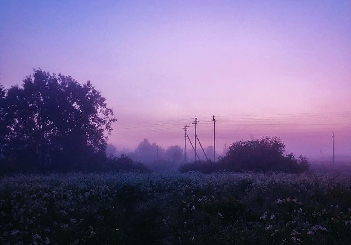 开云入口-乐鱼体育:让热爱不止于热情,成为行动的力量